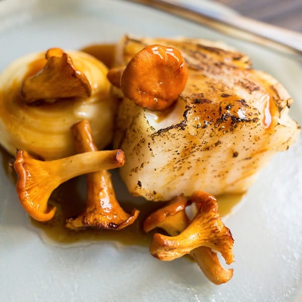 Monkfish